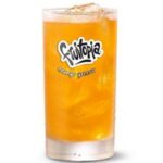 Mcdonalds Fruitopia Orange Groove